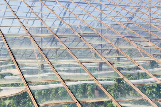 A close up of an industrial greenhouse on a farm in Turkler in the province of Alanya, southern Turkey.