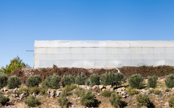 An industrial greenhouse on a farm in Turkler in the province of Alanya, southern Turkey.