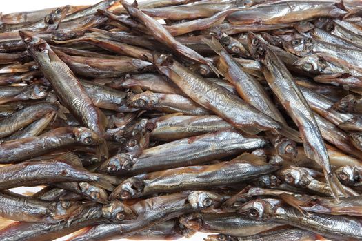 Fish on an isolated studio background