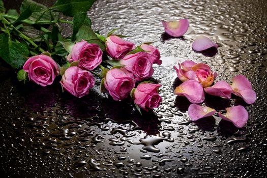 Three red roses on a black background with water drops