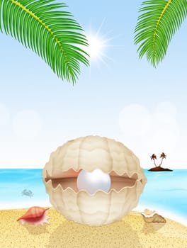 illustration of pearl on the shell