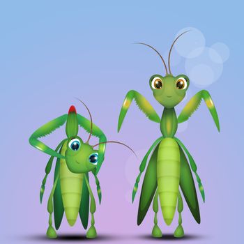 illustration of mantis couple