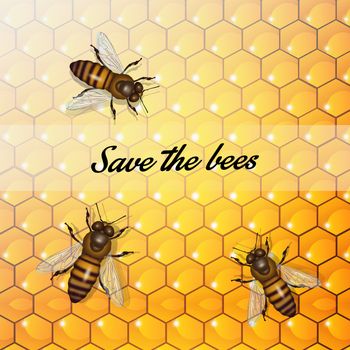 the importance of bees for the planet