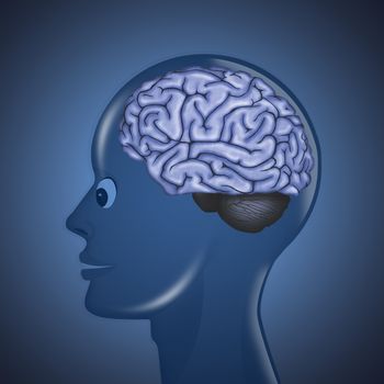 illustration of human brain in the head