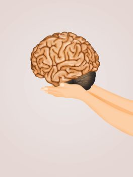 the brain in hands