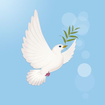 illustration of dove with olive