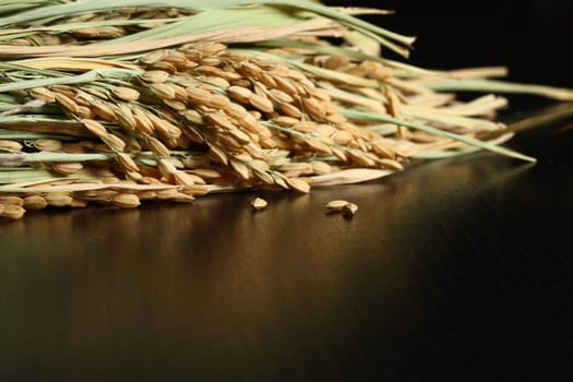 Extreme close up of rice plant and corn on wood table. Healthy organic raw food ready for cooking. Reflection on table.