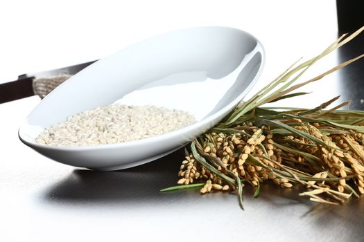 rice bowl with rice plant and corn on a light table