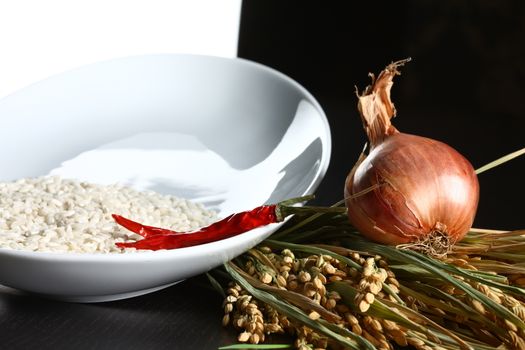 Extreme close up of onions, rice and chilli. Healthy organic raw food ready for cooking on a white and black background