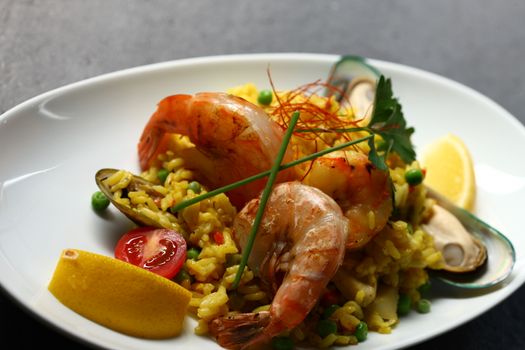 dish with shrimp and salad and wine on a white plate