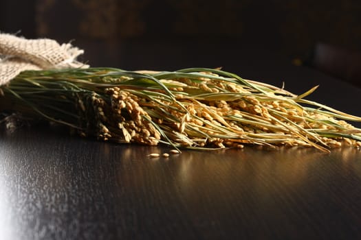 Extreme close up of rice plant and corn on wood table. Healthy organic raw food ready for cooking. Reflection on table.
