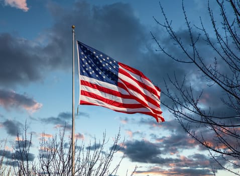 An American flag on a flagpole under blue skies beyond bare winter trees