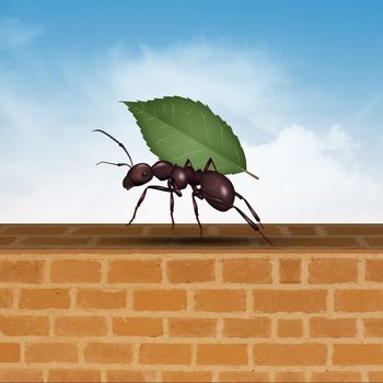 illustration of ant with leaf