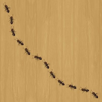 illustration of ants on the floor