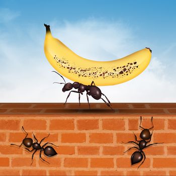 illustration of ant with banana