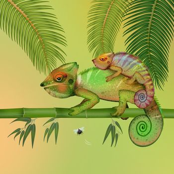 funny illustration of chameleons