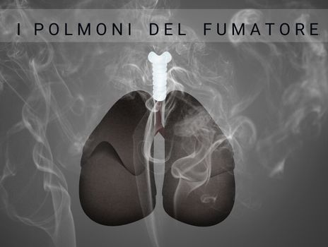 illustration of The smoker's lungs