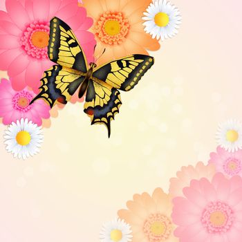 illustration of the swallowtail  on flowers