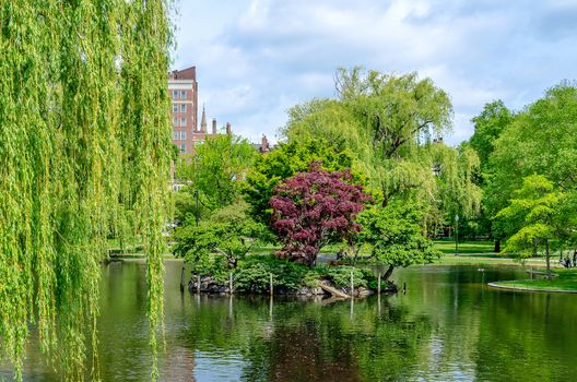 Idillic view in the scenic Boston Public Garden, USA