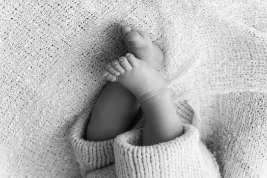 Closeup of a newborn baby feet with beautiful selective focus. Concept for maternity and tenderness