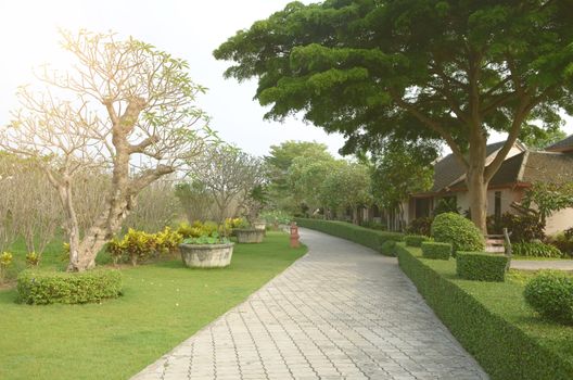 Landscaping in the garden