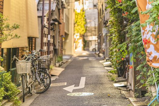 Walls covered with foliage and Bignoniaceae flowers horn trumpet vine in a small alley adjacent to the Kanda Station on the Yamanote Line. The street extends over 300 meters and has 100 shops.