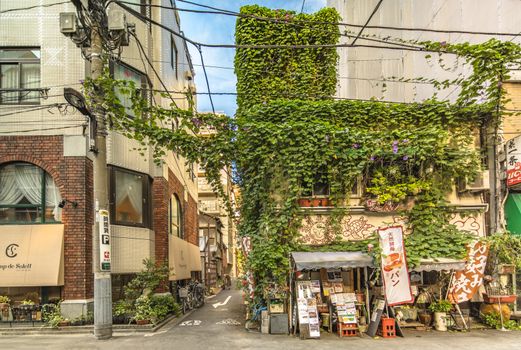 Walls covered with foliage and Bignoniaceae flowers horn trumpet vine in a small alley adjacent to the Kanda Station on the Yamanote Line. The street extends over 300 meters and has 100 shops.