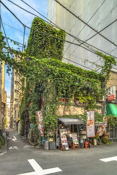 Walls covered with foliage and Bignoniaceae flowers horn trumpet vine in a small alley adjacent to the Kanda Station on the Yamanote Line. The street extends over 300 meters and has 100 shops.