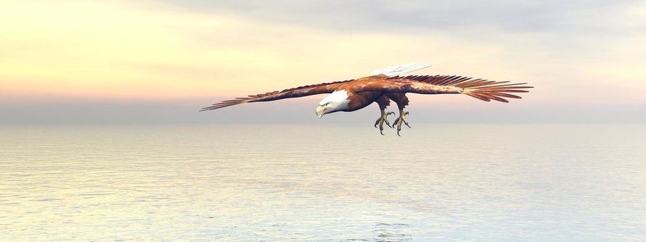 Bald eagle flying and sky - 3D rendering