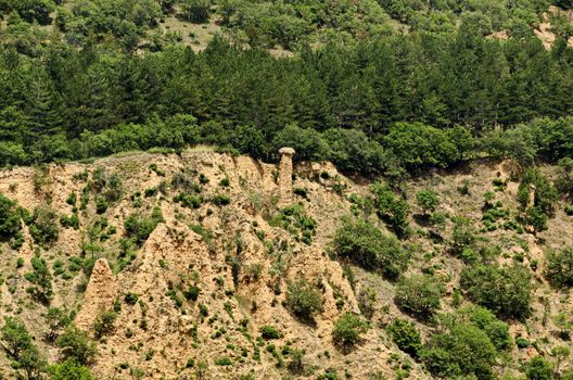 A view of the neighboring slope with new Stob pyramids of yellow rock formations, west share of Rila mountain, Kyustendil region, Bulgaria, Europe