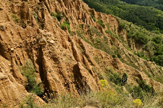 At close of the famous Stob Pyramids with unusual shape red and yellow rock formations, green bushes and trees around, west share of Rila mountain, Kyustendil region, Bulgaria, Europe