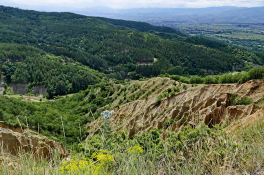 Fragment of the famous Stob Pyramids with unusual shape red and yellow rock formations, green bushes and trees around, west share of Rila mountain, Kyustendil region, Bulgaria, Europe