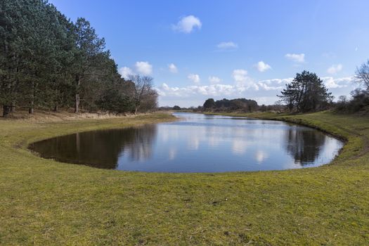 beautifull pond in the national park awd in holland near zandvoort