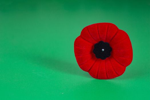 Remembrance Day Poppy Flower with a green Background