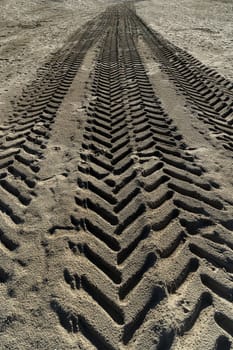 the traces left by a vehicle on the sand