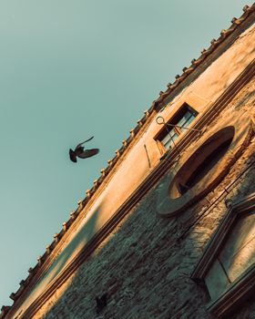 Looking up as a pigeon flies toward the roof of a church.