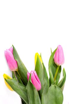 Bouquet of yellow and pink tulips isolated on white background with clipping path. Valentine's Day and Mother's Day background. Top view.