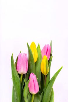 Bouquet of yellow and pink tulips isolated on white background with clipping path. Valentine's Day and Mother's Day background. Top view.