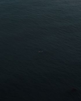 Aerial shot of a person swimming in sea alone.