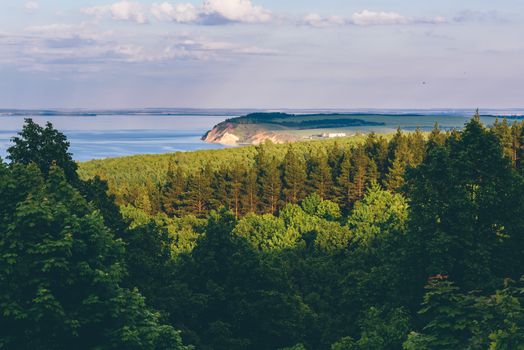 Sunset sunlight on the part of pine woodland and river with cliff on the background