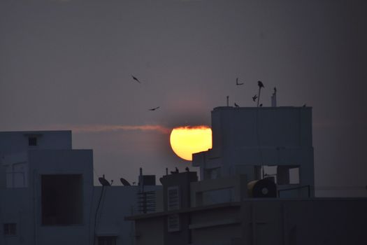 Beauty of Rising Sun