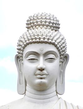 Buddha- Worshiper of Non Violence