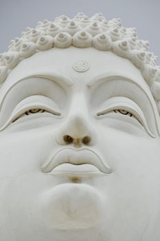 Buddha- Worshiper of Non Violence