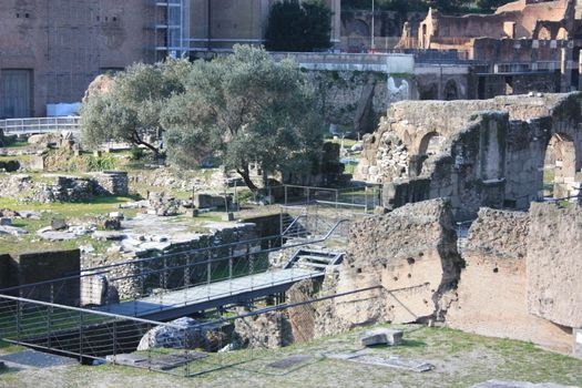 Rome and beautiful historical details in the Imperial Forums in italy