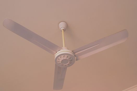 ceiling fan - white