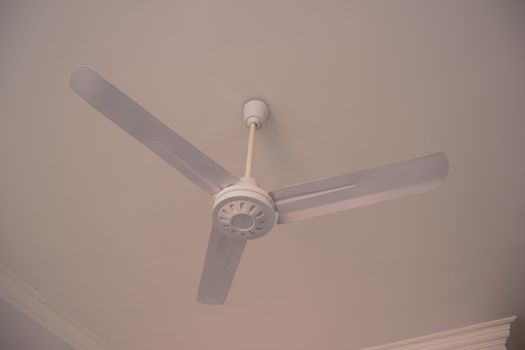 fan on the white ceiling