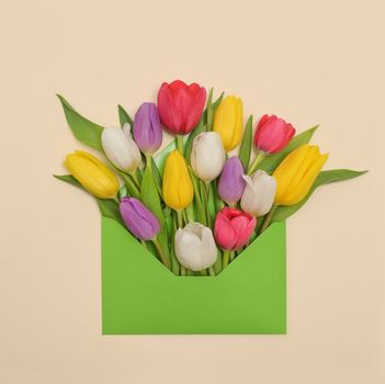 Conceptual Spring Tulips Flowers And Envelope