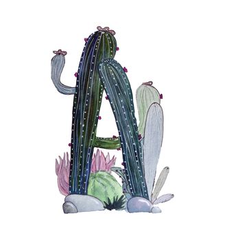 Watercolor illustration with cactus. background with Letter - A. Cool print on T-shirt. Vintage. Lettering