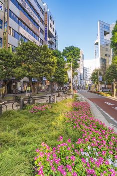 Sunshine Street at the east exit of Ikebukuro in Tokyo.
The sidewalk curves emphasized by the blocks embedded with step differing grasses decorate moss stone flowers.

池袋東口のサンシャイン通り。
段差のある芝生を埋め込んだブロックによって強調された歩道のカーブが芝桜の花を飾っています。