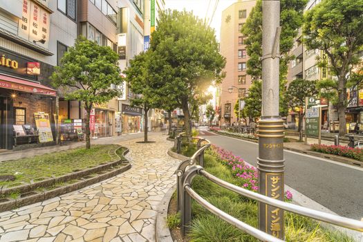 Sunshine Street at the east exit of Ikebukuro in Tokyo.
The sidewalk curves emphasized by the blocks embedded with step differing grasses decorate moss stone flowers.
池袋東口のサンシャイン通り。
段差のある芝生を埋め込んだブロックによって強調された歩道のカーブが芝桜の花を飾っています。